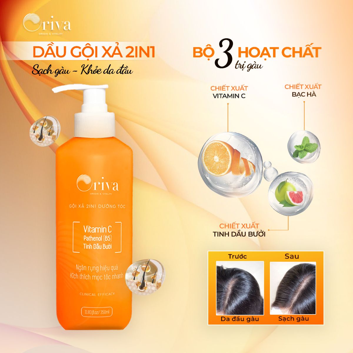 DẦU GỘI XẢ 2IN1